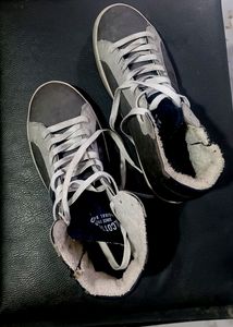Authentic Alcott &amp; Co.