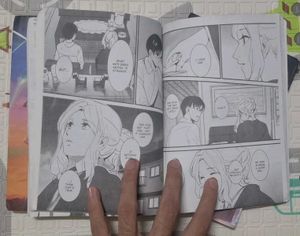 Your Name Manga Set