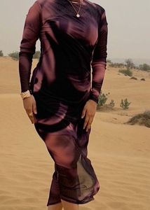 Stylish Printed Mesh Dress