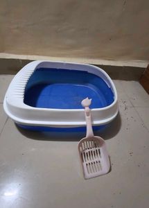 Blue Plastic Cat Litter Box