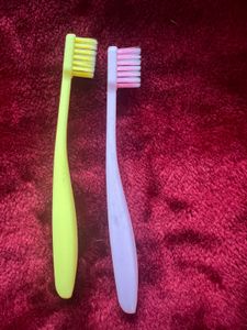 Soft Bristle Toothbrush