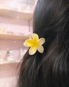 Cute Flower Hair Claws (Set of 3)