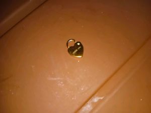 Heart Shaped charm