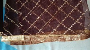 Embellished Velvet Lehenga Choli