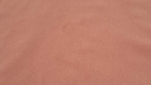 Coral Bell Sleeve Tunic Top
