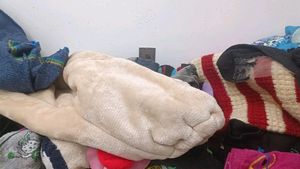 Winter Wears For Baby Boy