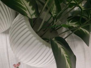 Set of 2 Artificial Potted Plants