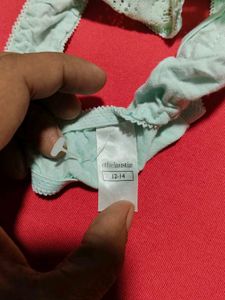 Thelaustin Mint Green Lace Thong Panty