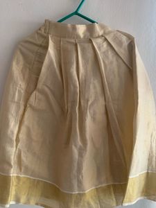 Elegant Ethnic Blouse with skirt