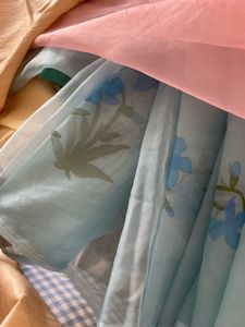 Beautiful Blue Organza Saree