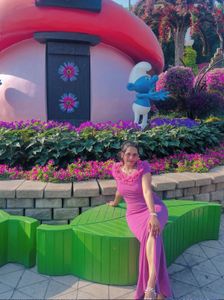 Elegant Pink Gown