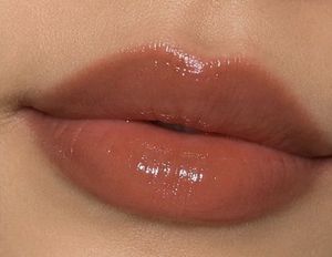 ZARMAR Brown Nude Glossy Lip Gloss