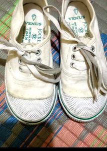Classic White Canvas Sneakers
