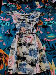 Floral Print Fit & Flare Dress