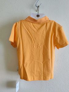Cute Orange Polo Shirt with Cactus Print