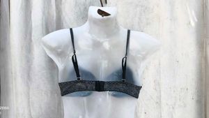 Sparkly Grey Bra