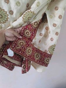 Heavy party wear saree, no blouse