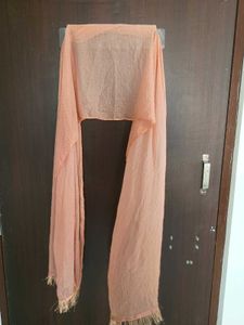 Peach light Orange Floral Kurta Set w dupatta