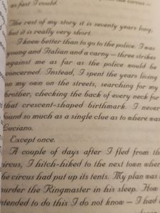 The Name Of This Book Is Secret