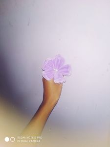 Velvet Flower