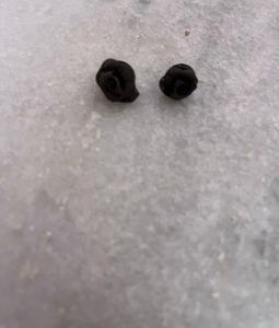 Rose Stud Earrings