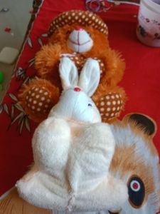 Soft Toy