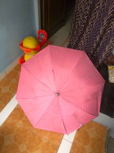 umbrella pink beautiful