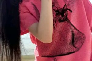 Pink Cat Graphic Oversized Tee