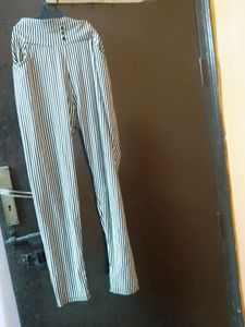 strechable pant