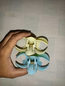 Flower Hair Clips (Set of 2)