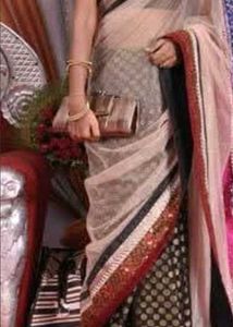 Elegant Embellished Saree