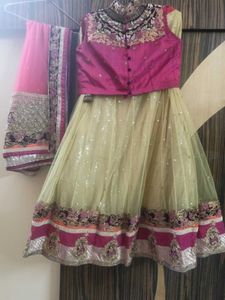 Embroidered Lehenga Choli Set