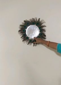 Peacock Feather Wall Decorative Item Use In Photo