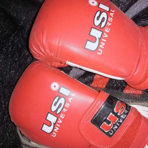 USI Universal Boxing Gloves