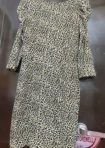 Brown Lion Printed Dress For 34 Bust