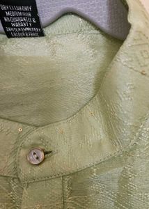Elegant Light Green Kurta