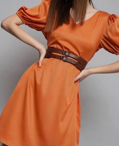Orange Puff Sleeve V-Neck Dress