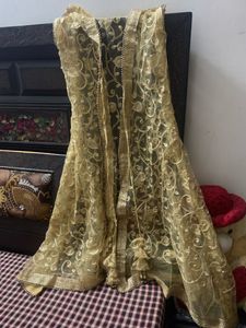Beautiful Golden Shrug