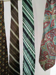 Bundle of 10 Men's Ties