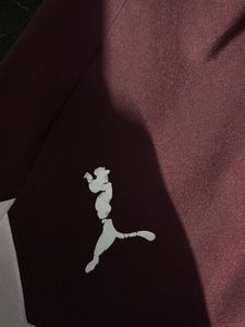 Puma Athletic Shorts