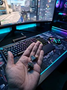 KZ ZSN IEM (First Model) (Customised)