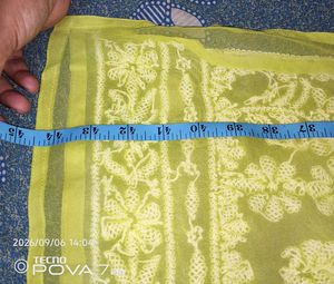 new Lime Green Chikankari Kurta