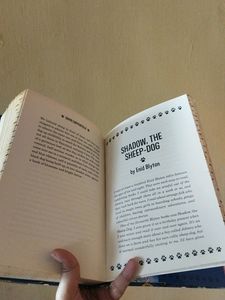 Paws And Whiskers By Jaqueline Wilson