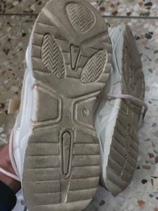 Fashion Sneakers