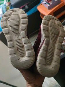 Campus Maroon Running Shoes