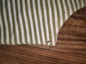 Striped Ribbed Crop Top