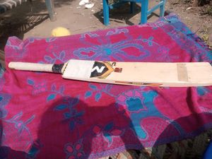 Cricket Bat