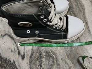 Light Weight Sneakers