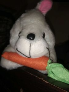 Cute Bunny Plush Toy