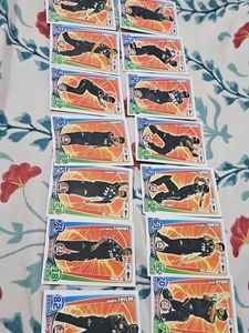 Topps Cricket Attax 2012 Pune Warriors India
